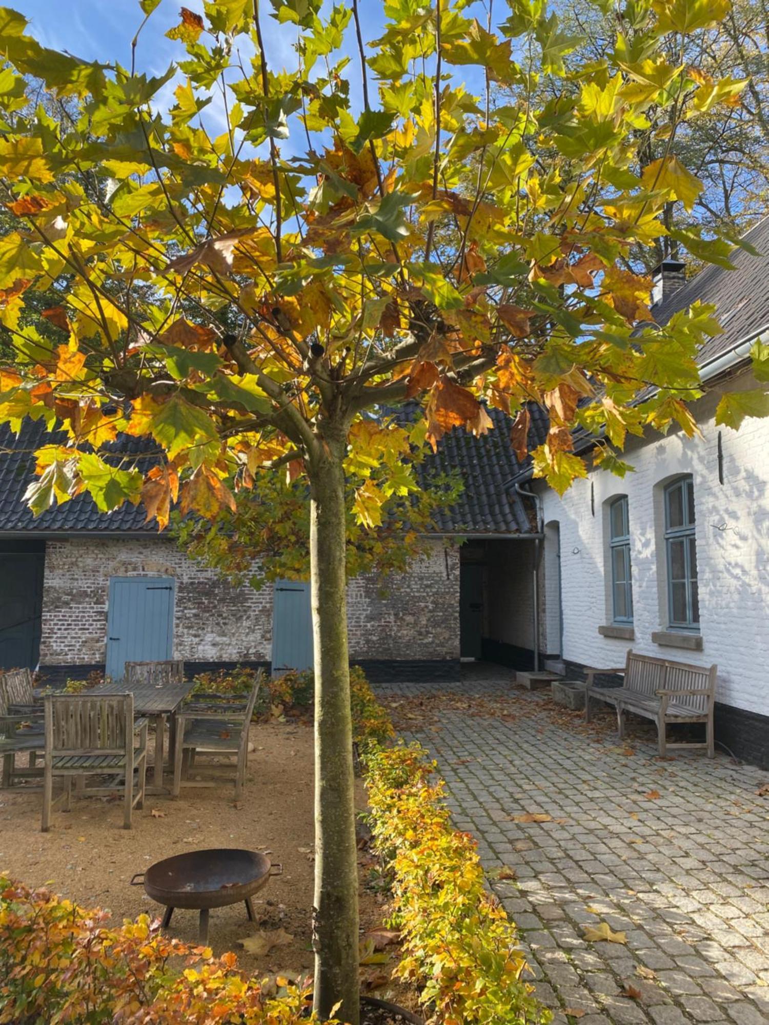 Cottage Landgoed Frymerson Sint Odilienberg Exterior photo